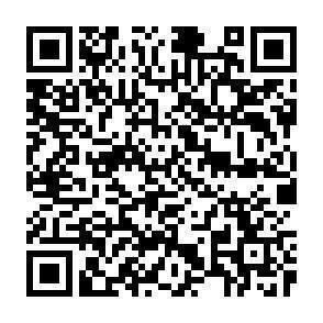 QR-Code - 