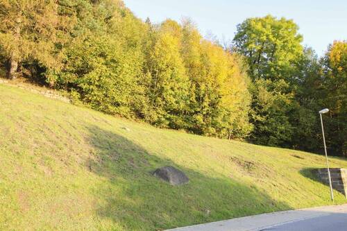 Ansicht 3 - Grundstück in Sebnitz zum Kaufen