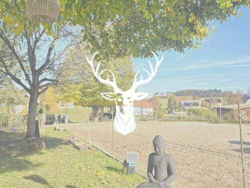 Titelbild .jpg - Stilvoller Pferdehof mit flexiblem Gewerberaum, zwei Wohnungen und 1,3 ha arrondierter Fläche direkt am Hof in Leibertingen im Donautal