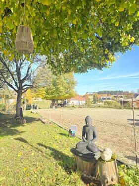 Schlatter Immobilien Villingen-Schwenningen Reitplatz - 9 Zimmer Einfamilienhaus in Leibertingen