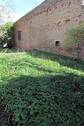 Garten hinten (4).jpg - 