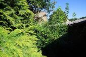 Blick in den Gartenbereich (8).jpg - 