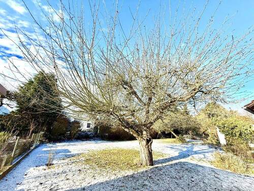 Ihr Garten von Osten - 