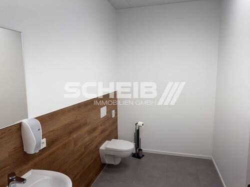 Damen WC - 