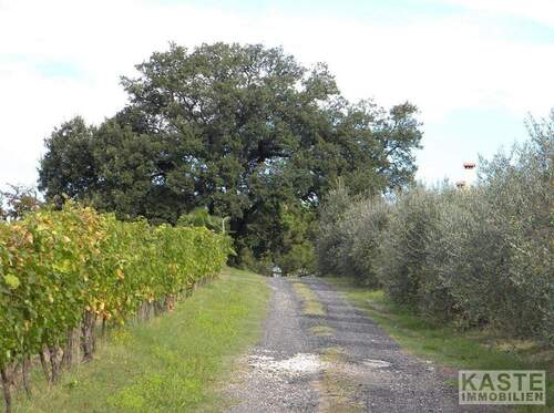 Garten - 2 Zimmer Mehrfamilienhaus, Wohnhaus zum Kaufen in Selvatelle