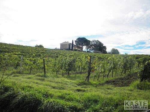 Aussenansicht - Mehrfamilienhaus, Wohnhaus mit 700,00 m&sup2; in Selvatelle zum Kaufen