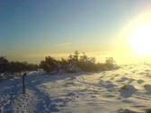Natur zum Entdecken..... - 