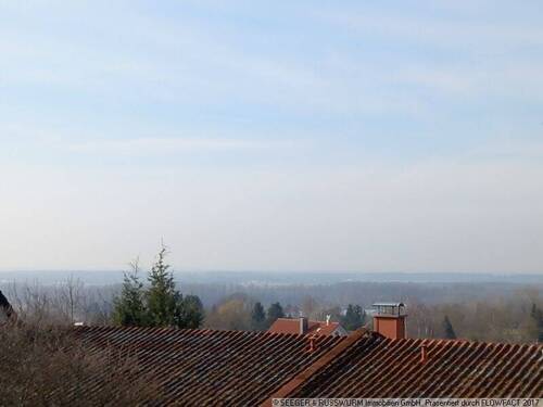 20250220_140929 - 5 Zimmer Einfamilienhaus zum Kaufen in Malsch