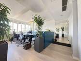 open-space-Büro - Provisionsfrei! Nachmieter gesucht für modernes, lichtdurchflutetes Büro mit 7 Räumen in Schwabing-Freimann
