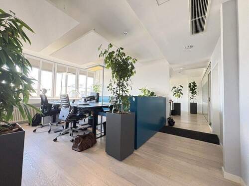 open-space-Büro - Provisionsfrei! Nachmieter gesucht für modernes, lichtdurchflutetes Büro mit 7 Räumen in Schwabing-Freimann