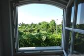 Grüner Ausblick nach Norden - 