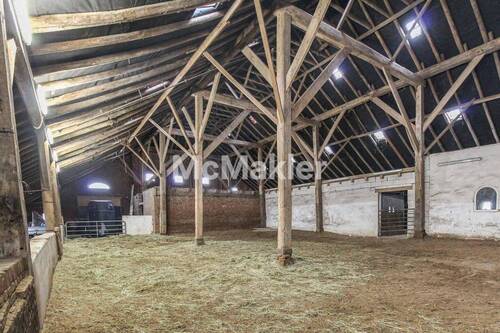 Reithalle - 