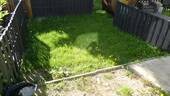 Garten - 