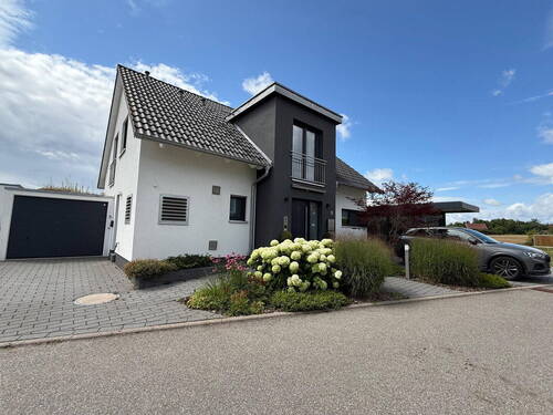 Zufahrt zur Garage - 