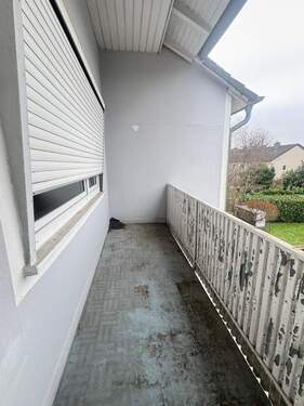 WhatsApp Image 2026-01-26 at 11.59.40 (3).jpeg - 