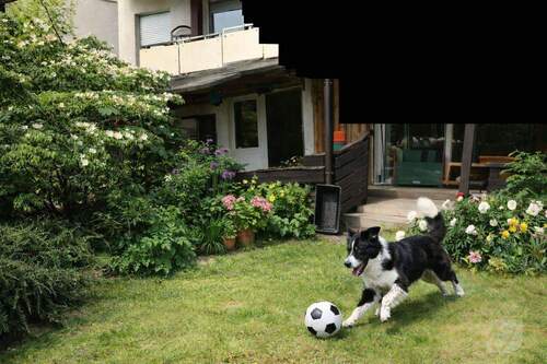 Garten - Exklusives Haus-im-Haus-Konzept mit traumhaftem Garten und privater Wellnessoase