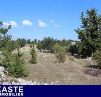 Riesiges Grundstück mit Ruinen, Wald, Olivenbäumen und toller Aussicht in Gavalochori, Kreta.