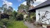 Blick in den Garten - 
