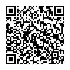 QR-Code - 