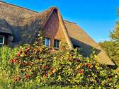 Traum unter Reet - 4 Zimmer Reihenmittelhaus zum Kaufen in Sankt Peter-Ording