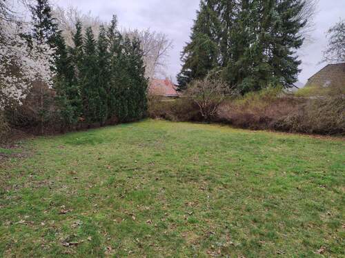 Blick Grundstück-2.jpg - Grundstück in Falkensee zum Kaufen