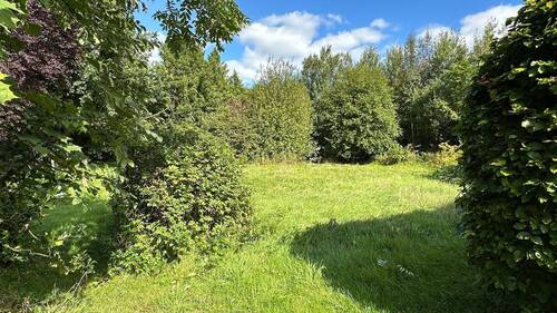 Gartenfläche - 