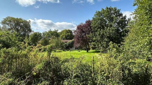 Blick vom hinten zum Hof - 