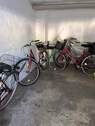 Fahrradkeller - separater Zugang - 
