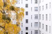 Hinterhof - 