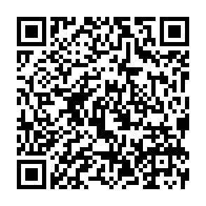 QR-Code - 
