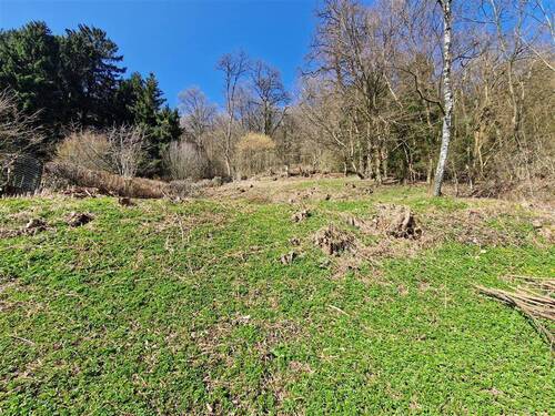 2 - Idyllisches Baugrundstück am Waldrand in 66636 Tholey zu verkaufen