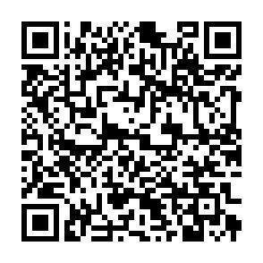 QR-Code - 