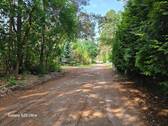 Am Grundstück (1).jpg - Grundstück in Borkheide zum Kaufen