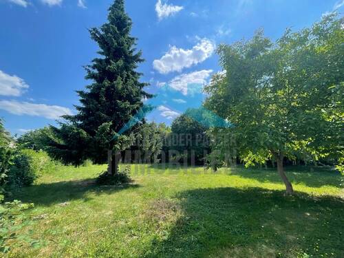 Parkähnliches Grundstück - Neubauprojekt mit Bestandsimmobilie zum sanieren (Sonder-Afa) in Kassel - BettenhausenEichwald!