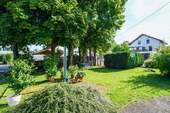 Gemeinschaftsgarten - 