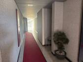 Eingangsbereich im Treppenhaus - 