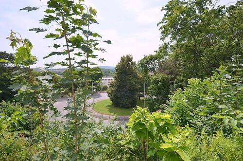Bild19 - 