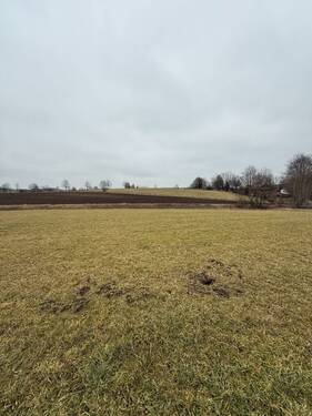 Ansicht - Landwirtschaftliche Nutzfläche - 80.000,00 EUR Kaufpreis, ca.  0,00 m²