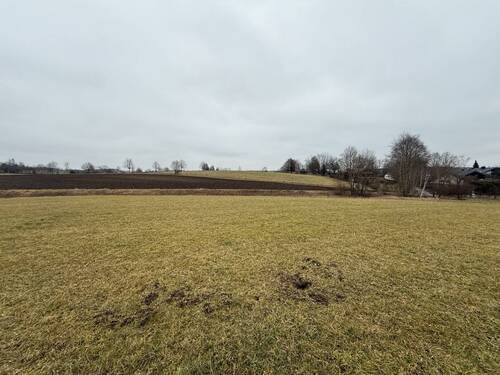 Ansicht - Grundstück zum Kaufen in Egling