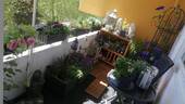 Süd-Balkon - 