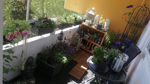Süd-Balkon - 