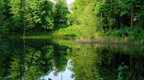 nahe Murellenteich - 