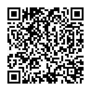 QR-Code - 