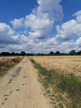 Die Felder hinter dem Haus - 