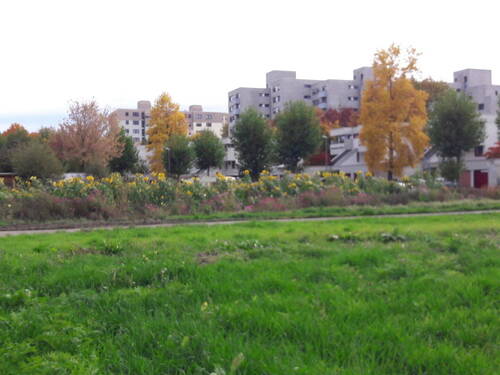 Blick auf die Wohnanlage - 3 Zimmer Etagenwohnung zum Kaufen in Stuttgart