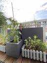 Bild 10 - 