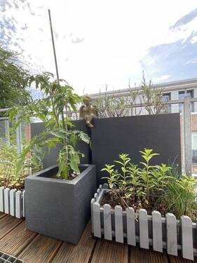 Bild 10 - 