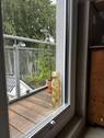 Bild 12 - 
