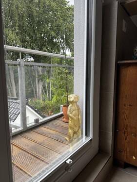 Bild 12 - 