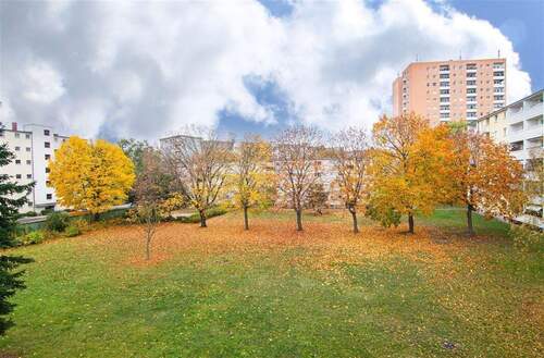 Balkon - Stilvolle, vollständig renovierte 3-Zimmer-Wohnung in Spandau - bezugsbereit ab sofort